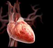 Patologia valvelor inimii în timpul sarcinii