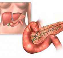 Ficatului și pancreasului: structura, funcția, rolul