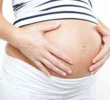 Pemfigoidul gravidă