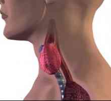 Hipotiroidism primar este o glanda tiroida: cauze, tratament, simptome, semne