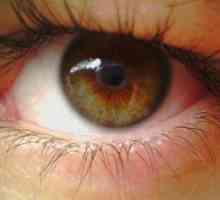 Degenerare a retinei pigmentară tratamentului ochi