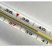 Diareea si temperatura de 39-40 cu vărsături într-un copil și un adult