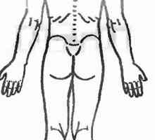 Practica de întindere a mușchilor de la dureri de spate
