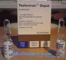 Preparatele de testosteron. Metiltestosteron, testobromlitsit și Sustanon