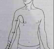 Amplasarea și anatomie a punctelor corpului pentru aromaterapie. Meridian pericard