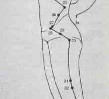 Amplasarea și anatomie a punctelor corpului pentru aromaterapie. Meridian a vezicii biliare
