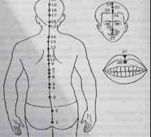 Amplasarea și anatomie a punctelor corpului pentru aromaterapie. Perednesredinny Meridian Jen-mai