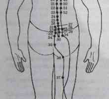 Amplasarea și anatomie a punctelor corpului pentru aromaterapie. vezicii urinare Meridian