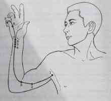 Amplasarea și anatomie a punctelor corpului pentru aromaterapie. inima Meridian