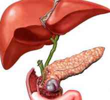 Rolul în digestie a pancreasului și a corpului