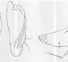 Scar deformare a piciorului si glezna. defecte de tratament de suprafață plantară a piciorului