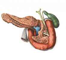 Sucul pancreatic și funcția digestiv, care conține enzime?