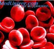 Anemia pernicioasă. formarea hemoglobinei