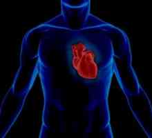 Statistica cardio sistemului vascular