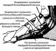 Picior, glezna și treimea inferioară a radiației tibiei și diagnosticarea instrumentului
