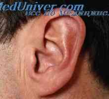 O examinare externă a urechii. otoscopia