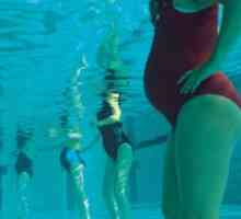 Aerobic de apă pentru femeile gravide. Exerciții în apă pentru femeile gravide. exerciții de…