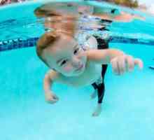 Cum să învețe să înoate copilul? Mulți părinți să încerce să-i învețe pe copiii lor să înoate cât…