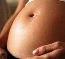 Cum de a determina ce perioada de sarcină și rodov.vopreki speranțele multor mame insarcinate, in…