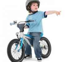 Cum sa alegi bicicleta pentru copii. Cum de a alege prima bicicleta a unui copil