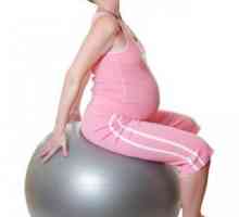 Ce exerciții nu se poate face pentru femeile gravide. Exercitii pentru femeile gravide la termen.…