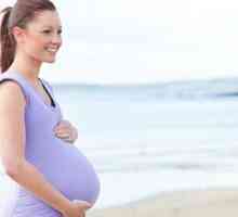 Moda pentru femei gravide 2013. Alegem haine pentru gravide și mamele care alăptează