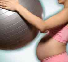 Pot juca sport gravidă. Sport în timpul sarcinii. Ceea ce sportul nu poți face în timpul sarcinii?