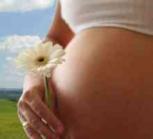 Suplimentarea cu calciu în timpul sarcinii. Bea de calciu in timpul sarcinii. Face pentru lipsa de…