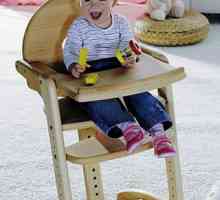 Alegerea unui copil scaun înalt. Scaune pentru tipurile de hrănire și criteriile de selecție.…
