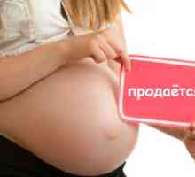 Legea cu privire la surogatului în 2012. Legislația care reglementează utilizarea maternității…