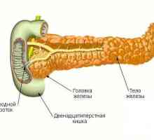 Corp pancreatic