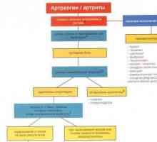 Terapie-comentarii la algoritmul: artralgii / artrita