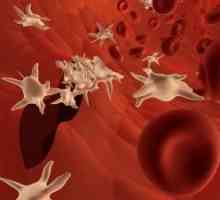 Trombocitele în sânge: ceea ce înseamnă că rata de trombocite