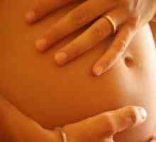 Gestație uterină