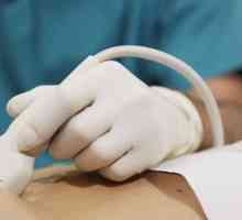 Ultrasonografie (ultrasunete) al cavității abdominale