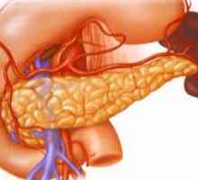 Îmbunătățirea și normalizarea a pancreasului este forțat să lucreze?