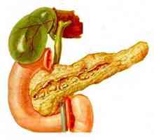 Creșterea dimensiunii cauzelor pancreasului, simptome, semne, de ce creșterea?
