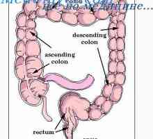 Paralizia a tranzitului intestinal. Vărsături și cauzele sale