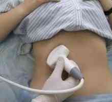Ultrasunete (diagnostic cu ultrasunete) a pancreasului, rata de marimea corpului