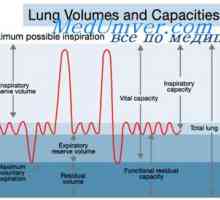 Efectul distensie pulmonar torace. spirometrie