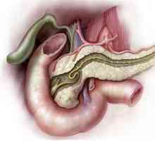 Greutatea (masa) a pancreasului