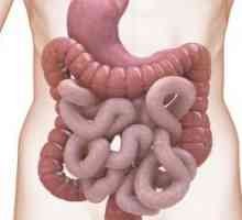 HIV și tractului gastro-intestinal