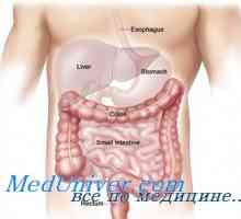 Influența glandei tiroide în stomac. Stomacal după tiroidectomie tiroidectomie