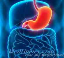 Efectul hormonului de creștere (GH) în stomac. Valoarea de ACTH suprarenale