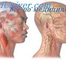 Tipuri extracraniane de dureri de cap. receptorii de temperatură
