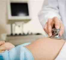 Hydrops fetale în timpul sarcinii: non-imun, cauze