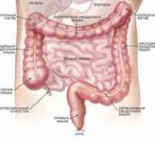 Insuficiența absorptive intestinale