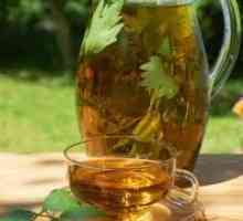 Ceaiul verde cu pancreatită (pancreatic), Kombucha, pot să beau?