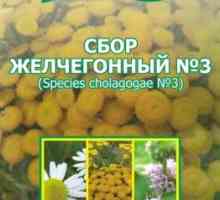 Medicamente de pancreatită coleretice, colectare plante aromatice