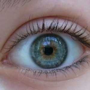 Acanthamoeba cheratita ochi: tratament, simptome, diagnostic